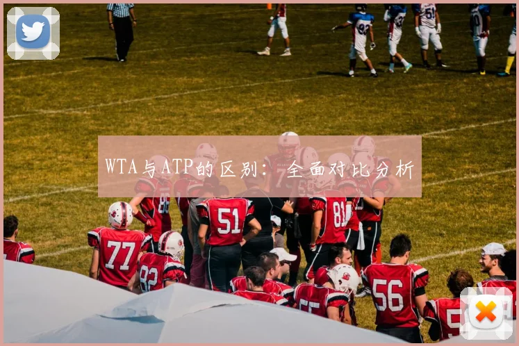 WTA与ATP的区别：全面对比分析