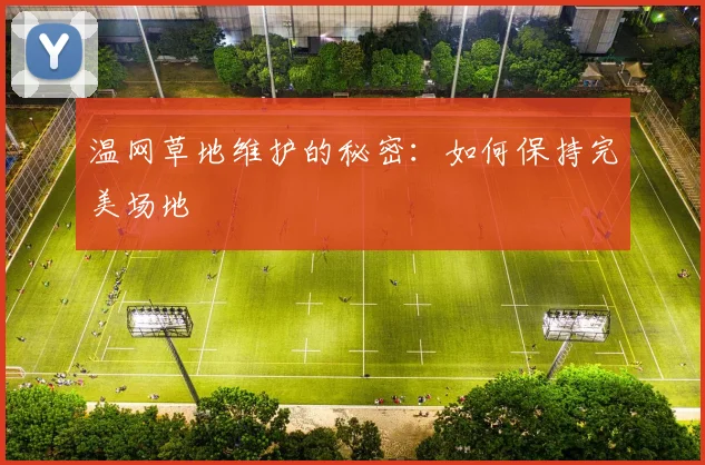 温网草地维护的秘密：如何保持完美场地