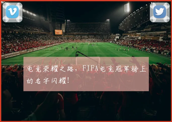 电竞荣耀之路，FIFA电竞冠军榜上的名字闪耀！