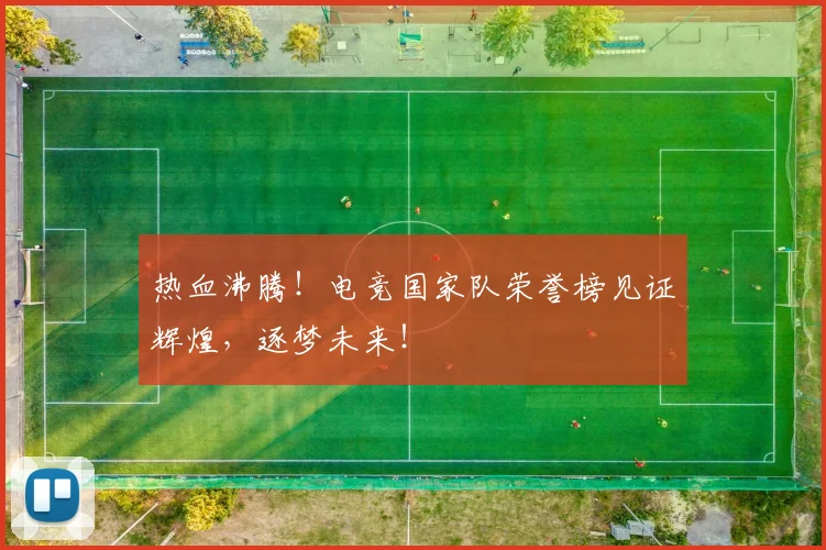热血沸腾！电竞国家队荣誉榜见证辉煌，逐梦未来！