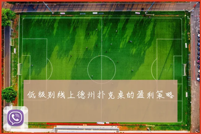 低级别线上德州扑克桌的盈利策略