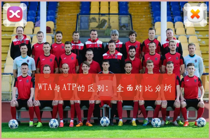 WTA与ATP的区别：全面对比分析