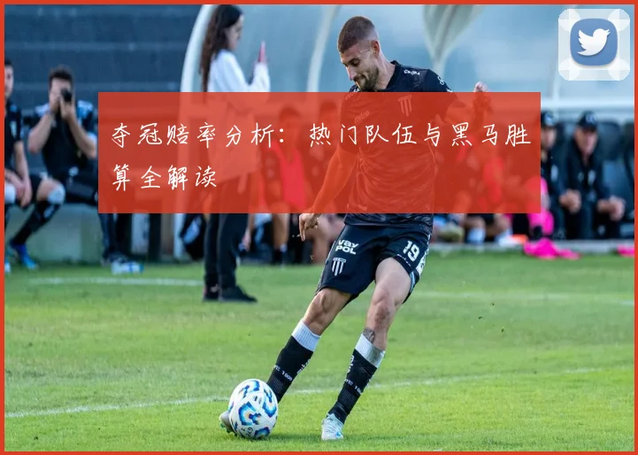 夺冠赔率分析：热门队伍与黑马胜算全解读