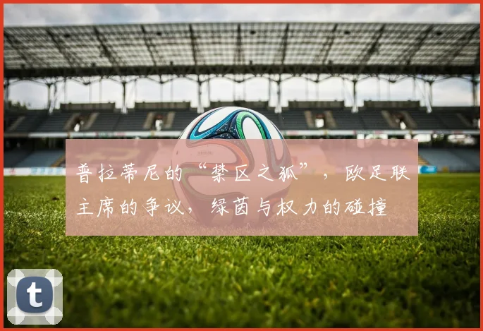 普拉蒂尼的“禁区之狐”，欧足联主席的争议，绿茵与权力的碰撞